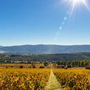 Descubre los vinos de Clos de Lôm, Monkywines, 30 de abril