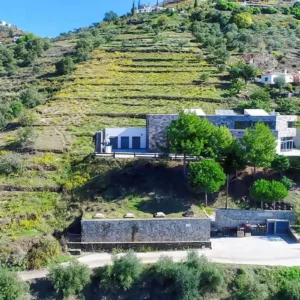 Descubre los vinos de la Axarquia, Monkywines, 12 de junio